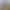 Молдова Фестиваль вина Молдова Фестиваль вина