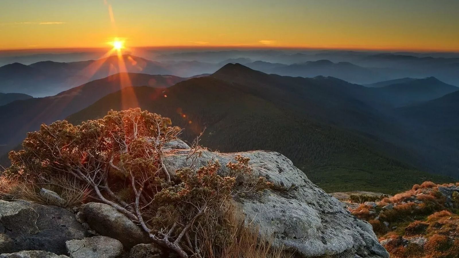 Кваси-Рахів-Буковель