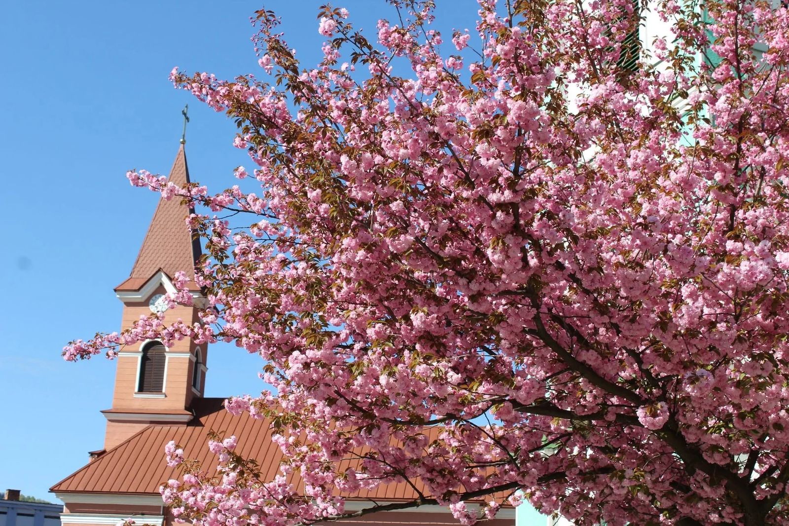 Роза Вітрів, крафт у  Квасах та Буковель