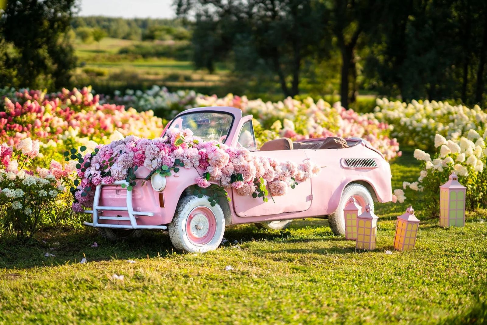 Сезон гортензій🌸+Коростишівський кар'єр💧 Сезон гортензій🌸+Коростишівський кар'єр💧