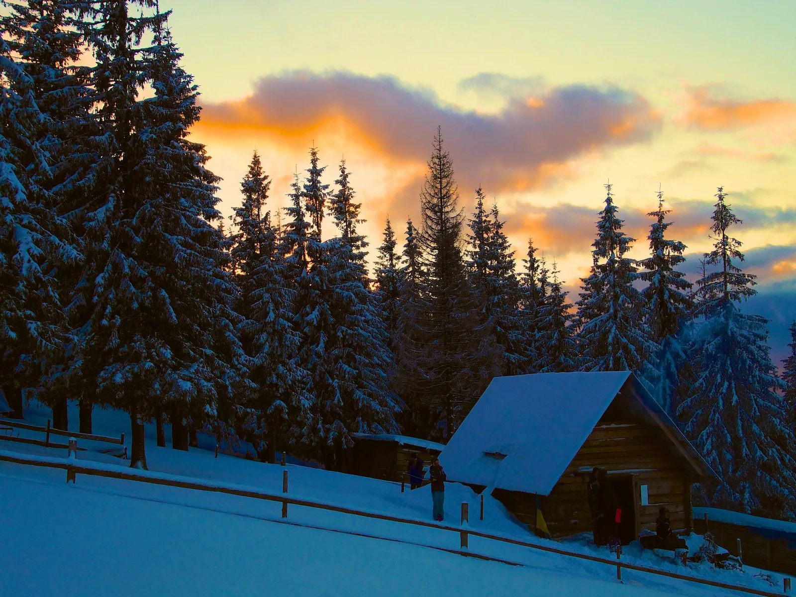Два зимових дні в Карпатах +сніданок та SPA