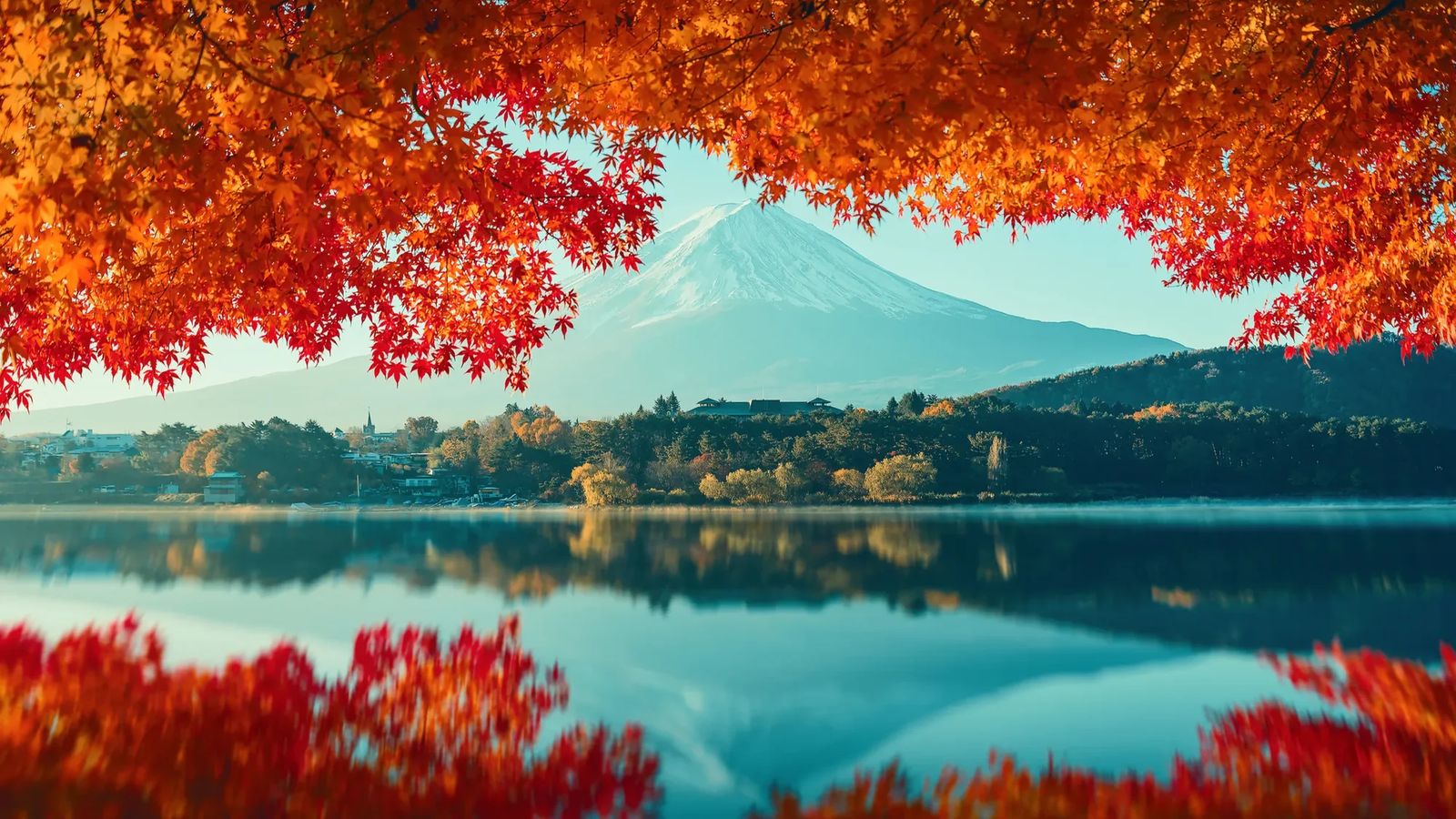 Розвідка. Сезон червоних кленів