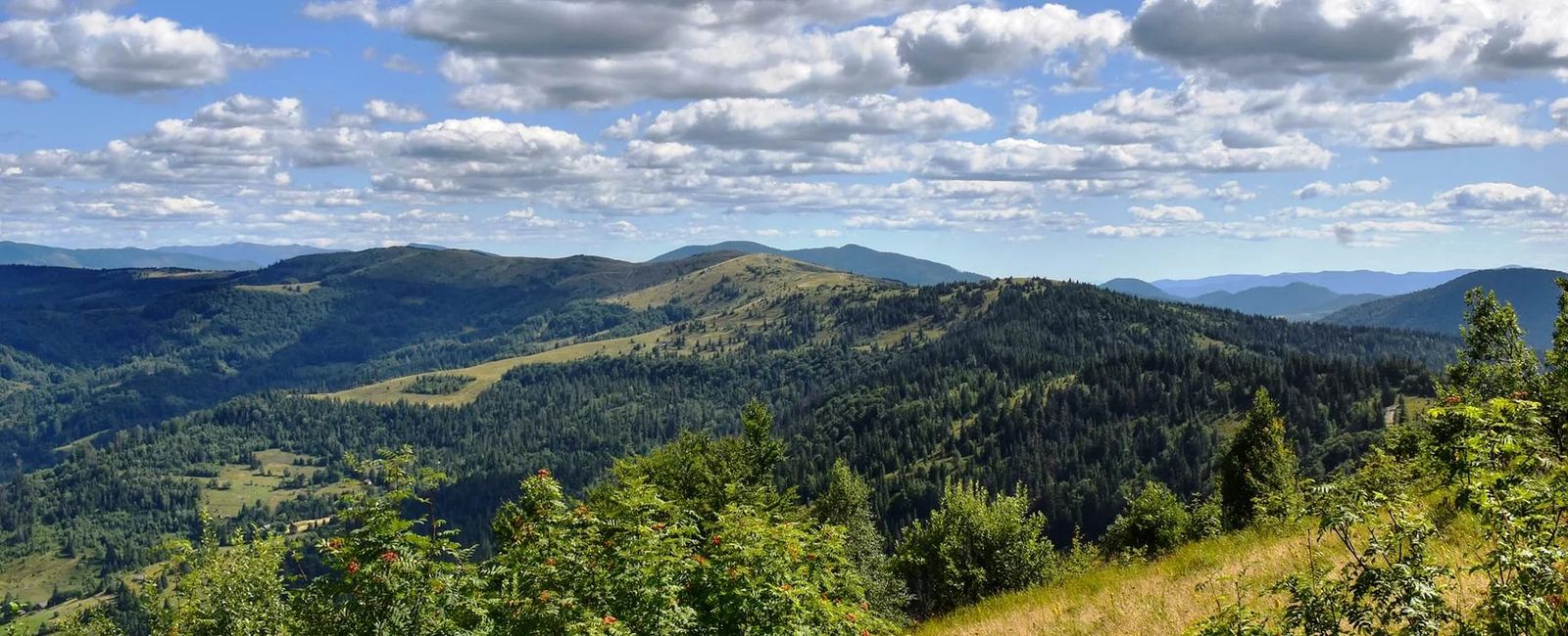 Дрогобич. Тустань. Франківськ