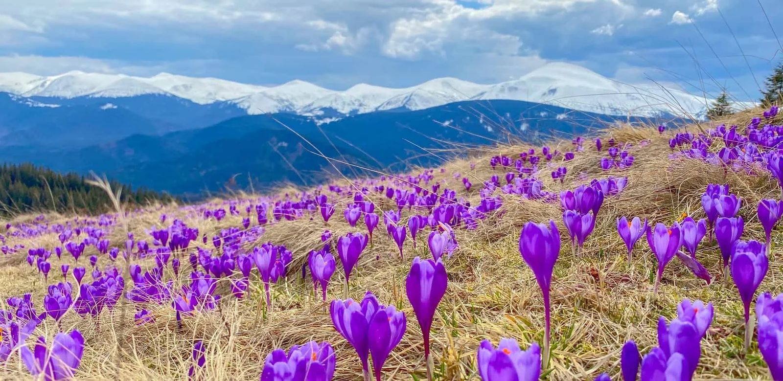 Три дні в Карпатах.Буковель