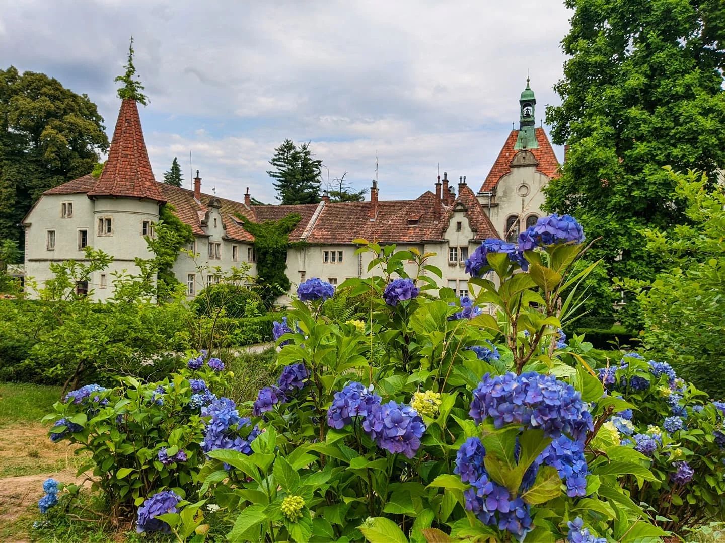 Три дні в Закарпатті