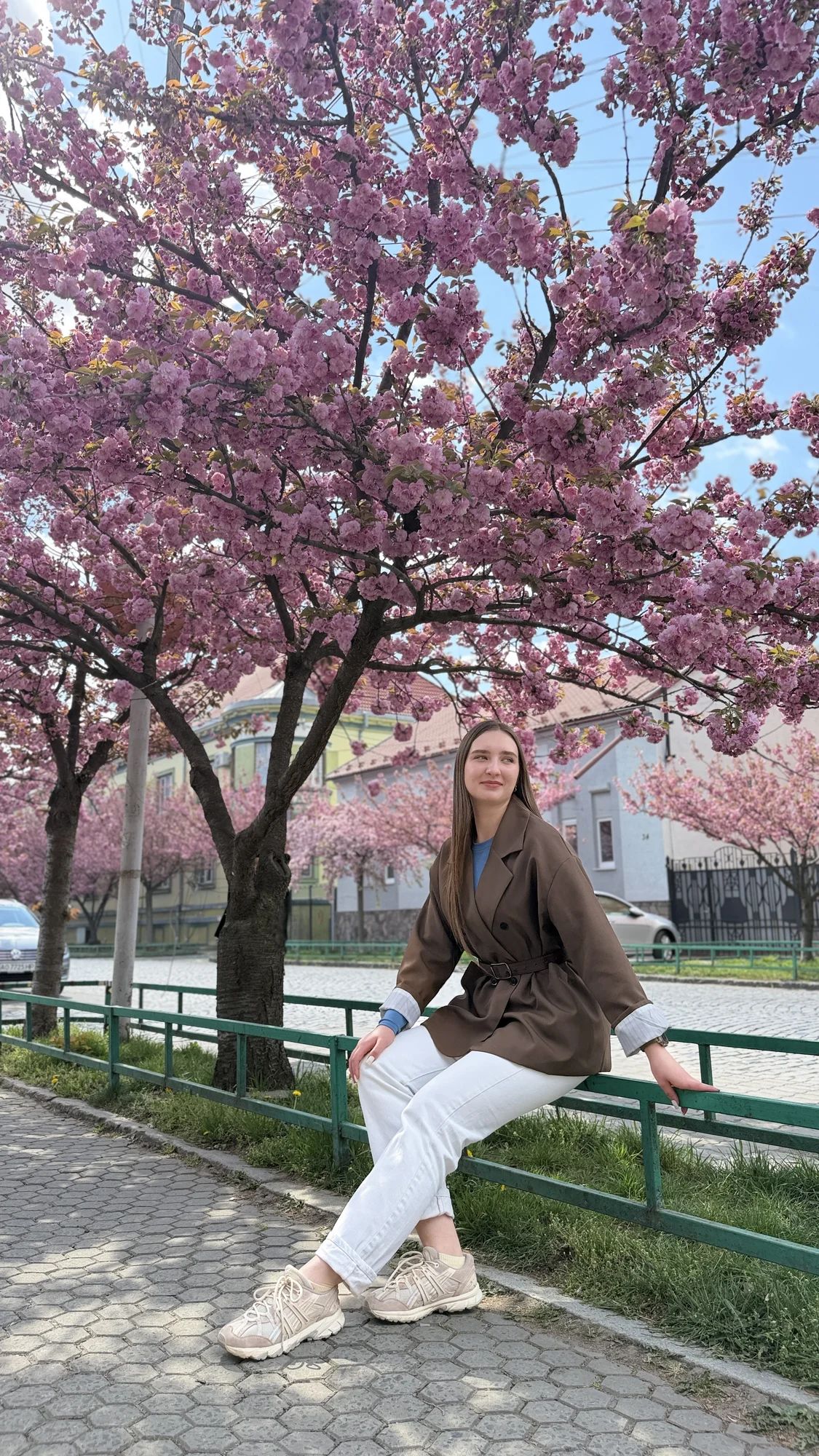 Цвітіння сакур у Мукачеві. Два дні у Закарпатті + сніданок включено. Цвітіння сакур у Мукачеві. Два дні у Закарпатті + сніданок включено.