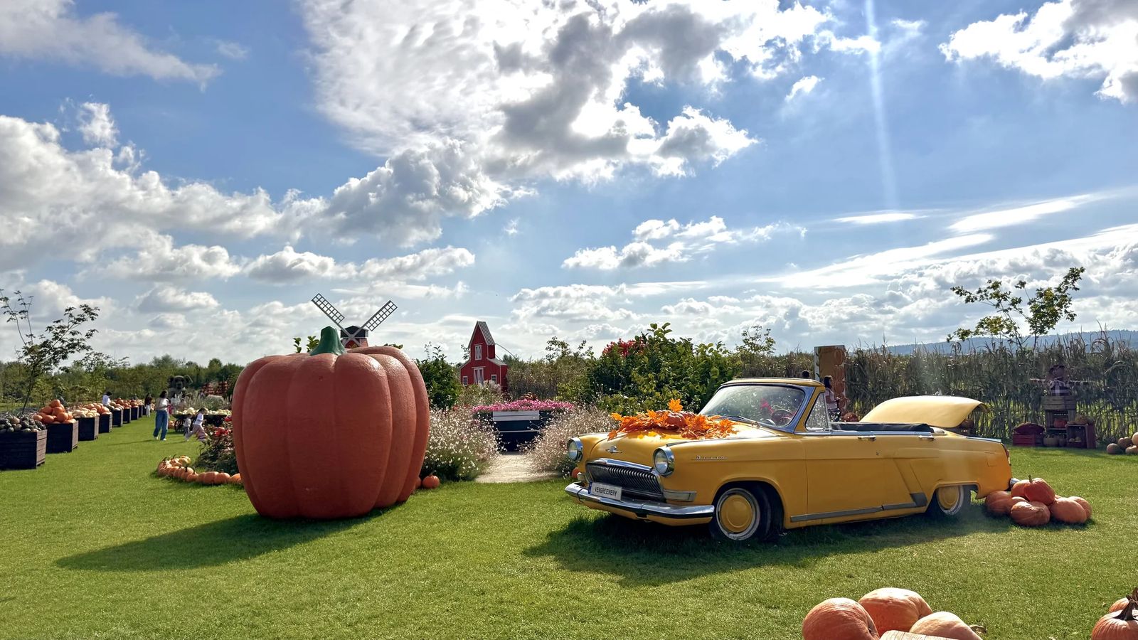 Гарбузики та Чернівці 🎃
