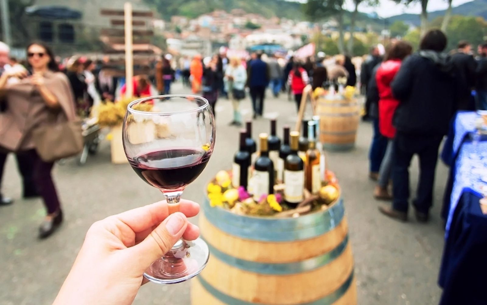 Дегустація вина, Старий Орхей та Кишинів (1день)