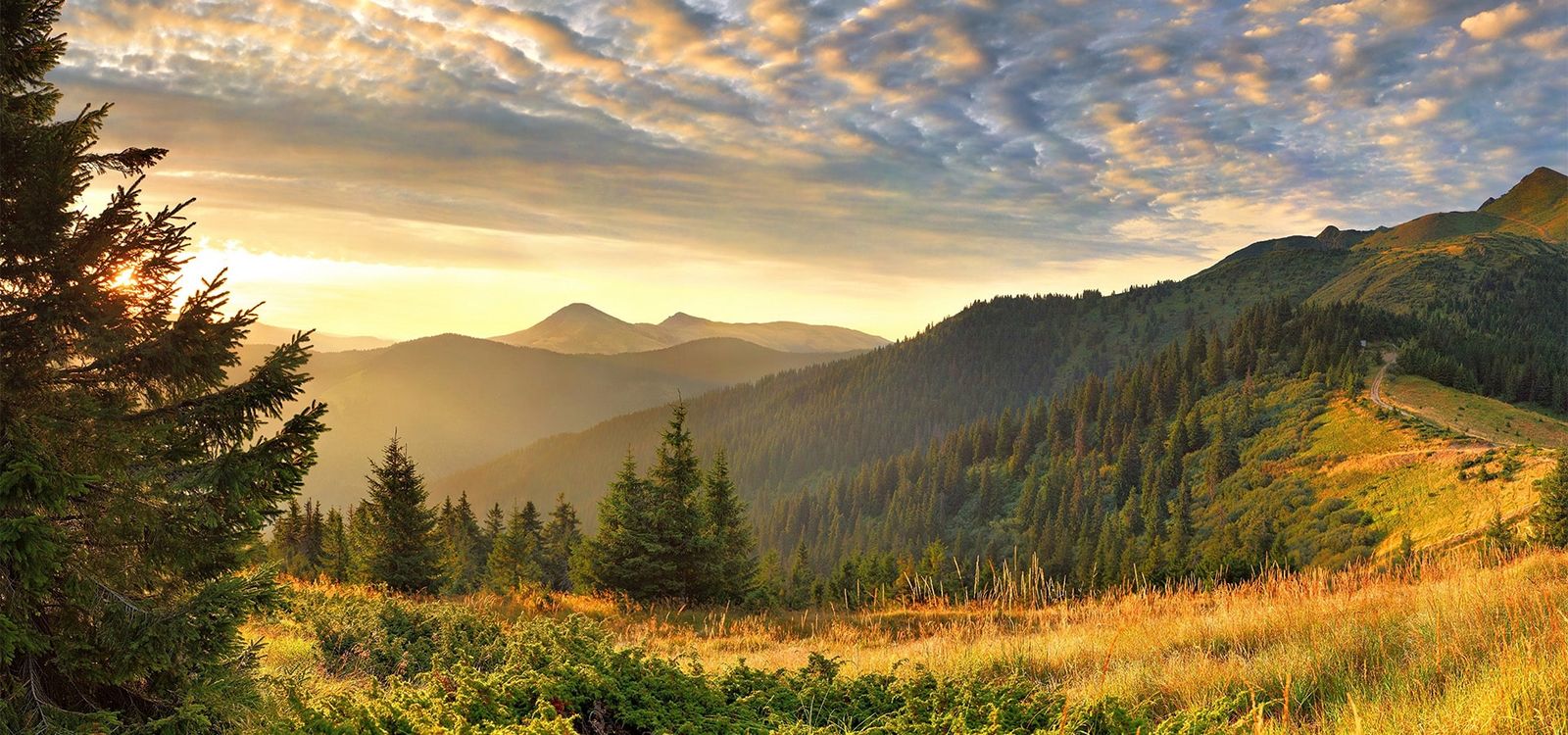 Вікенд в Закарпатті
