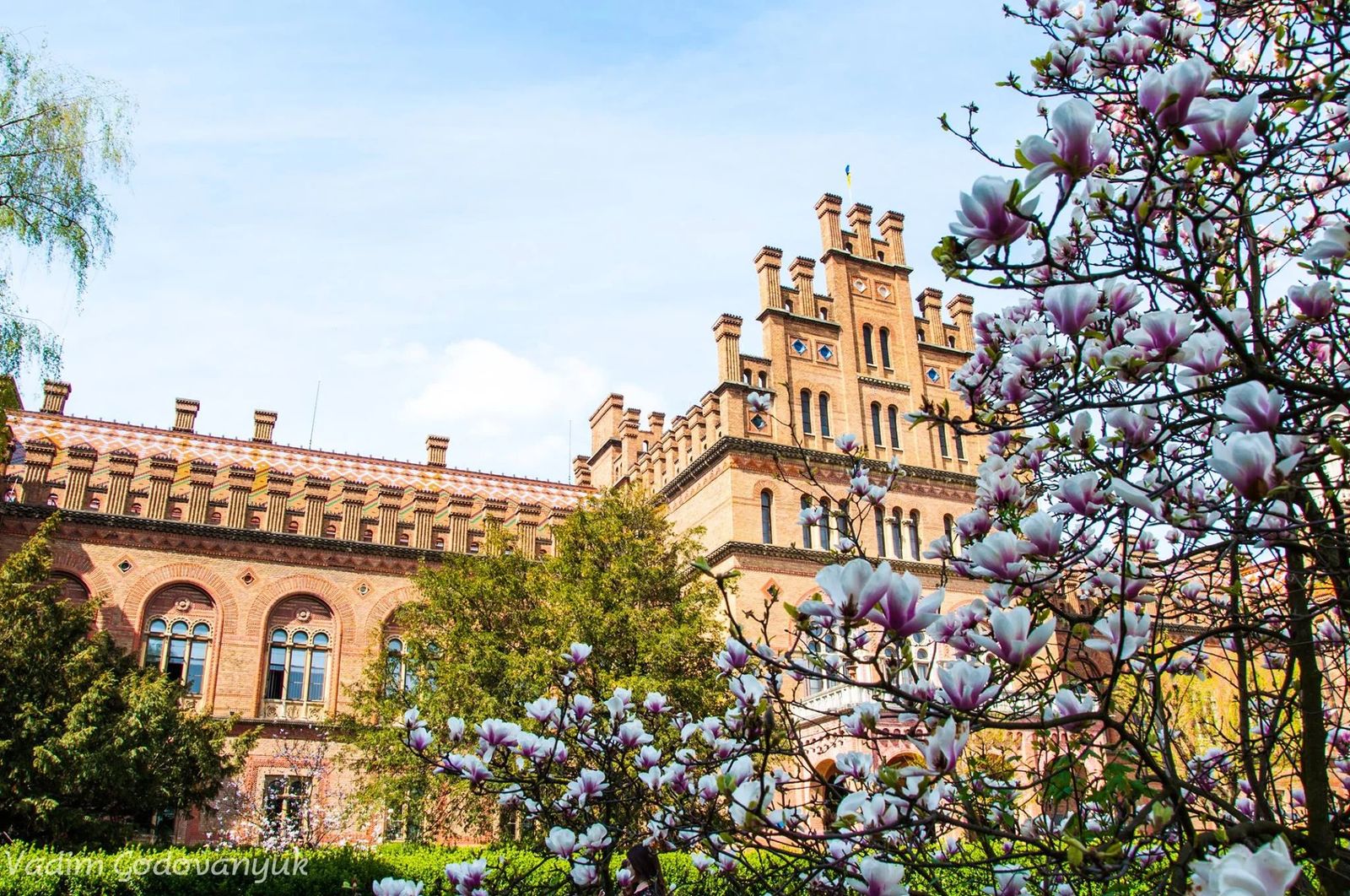 Подорож у квітучі Чернівці