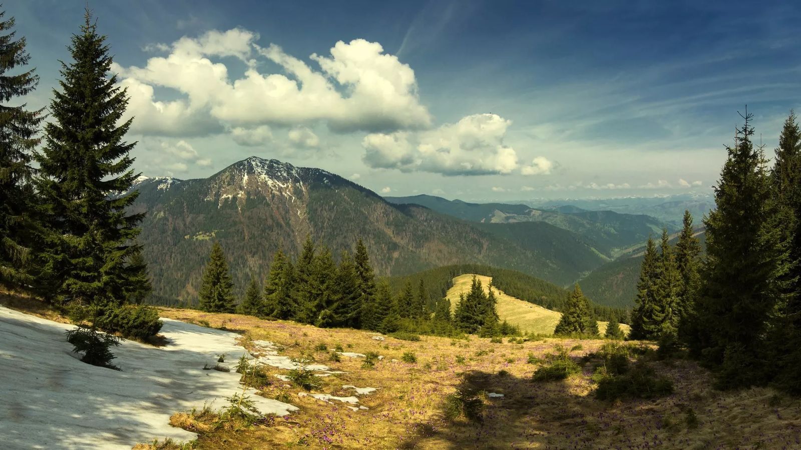 Вечорниці, дегустації, терми