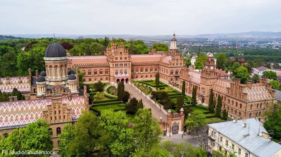 Тюльпани, Сікера та равлики