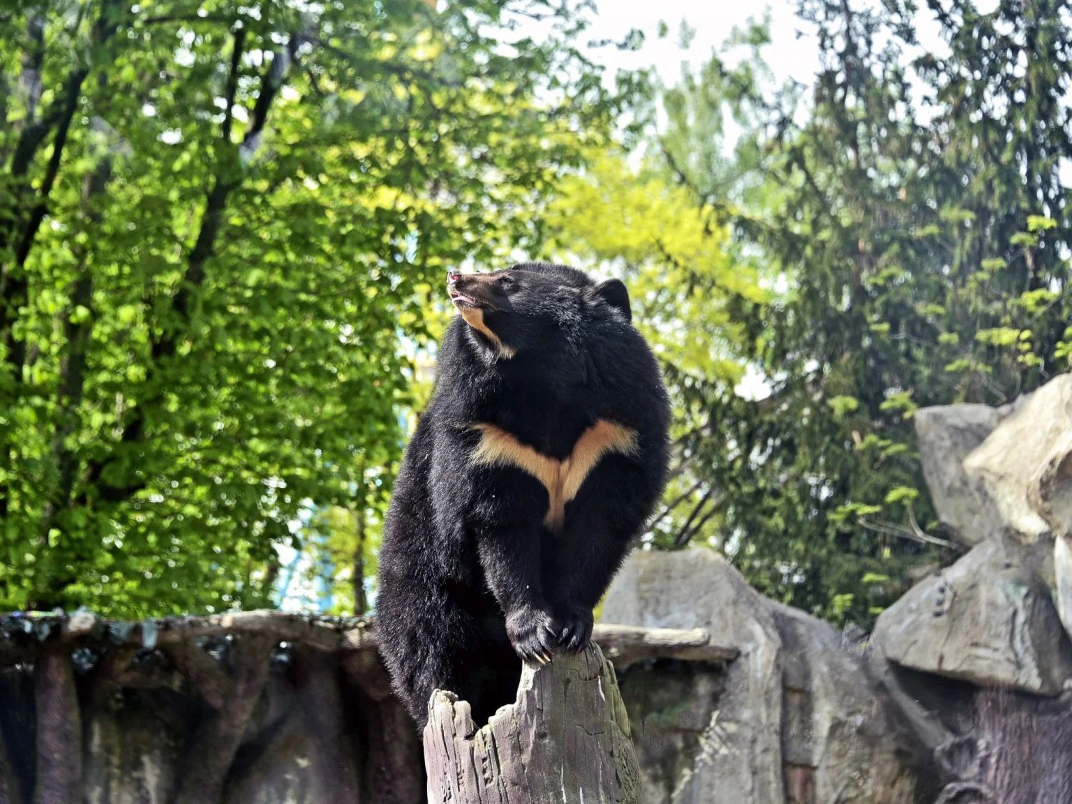 Сімейний вікенд на Поділлі