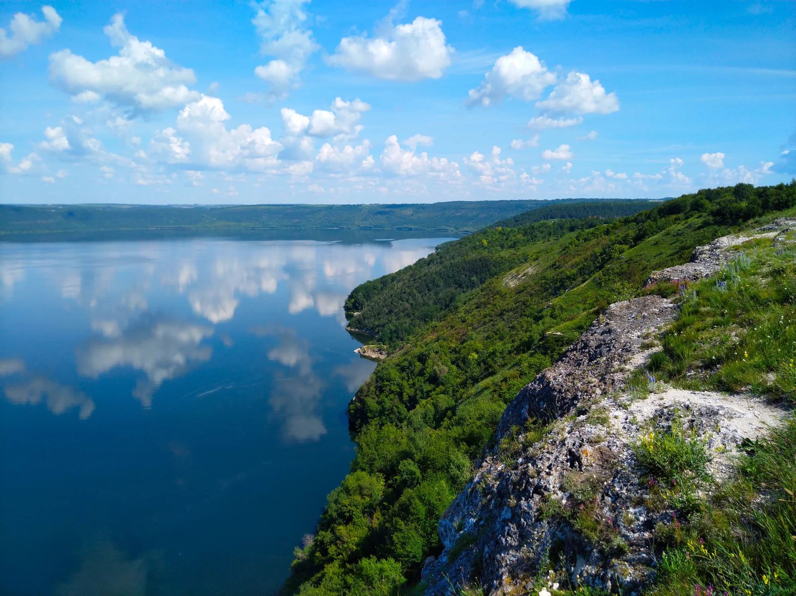 Неймовірна Бакота