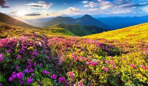 Сходження у гори Карпати!⛰ Сходження у гори Карпати!⛰