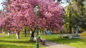 Ужгород Ужгород