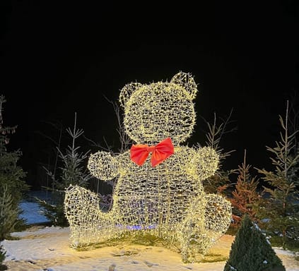 Зимова магія Чернівців Зимова магія Чернівців