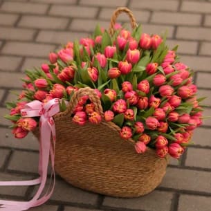 Карпати Львів Трускавець Карпати Львів Трускавець