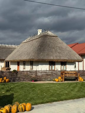 музична магія та хмільний релакс