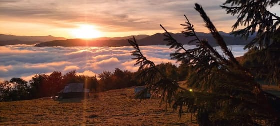 Кваси-Рахів-Буковель Кваси-Рахів-Буковель