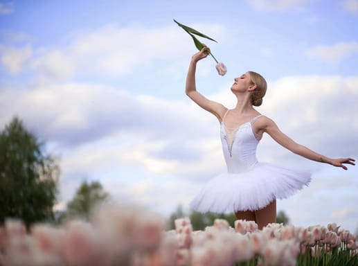 Тюльпани, Сікера та равлики