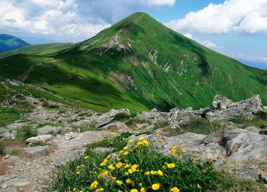 + Солотвино, Драгобрат, Кваси + Солотвино, Драгобрат, Кваси