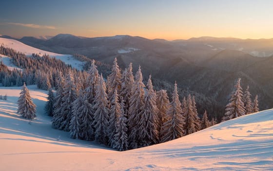 Верховель.3 дні+сніданки+SPA