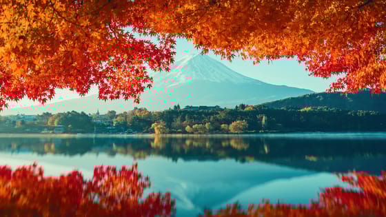 Розвідка. Сезон червоних кленів