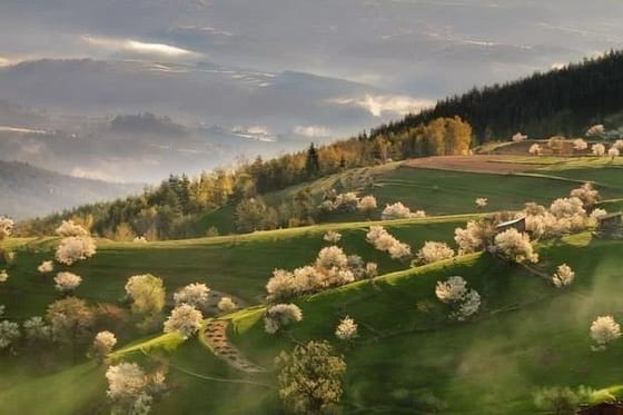 Верховель на 3 дні. Враховано SPA та сніданки