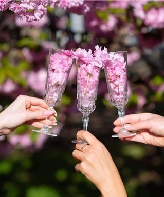 На 3 дні до Закарпаття . Цвітіння сакур та оз Синевир На 3 дні до Закарпаття . Цвітіння сакур та оз Синевир