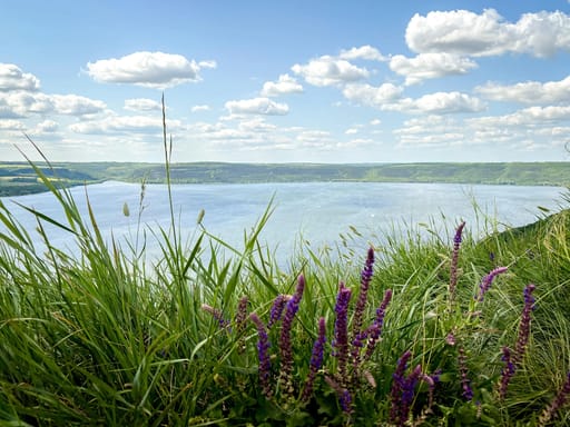 Маліївці та Медова Бакота
