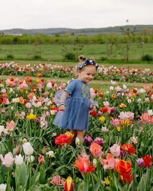 Тюльпановий настрій Чернівців🌷