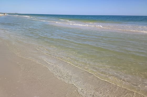 Приморське, 5 ночей. Виїзд-4