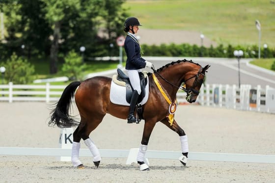 Кінний завод