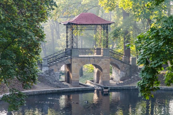 Тюльпанове поле, Олександрія та Острів Сакур
