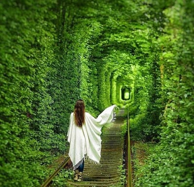 Подорож у світ замків і таємниць