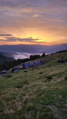 Крафтові смаки Карпат