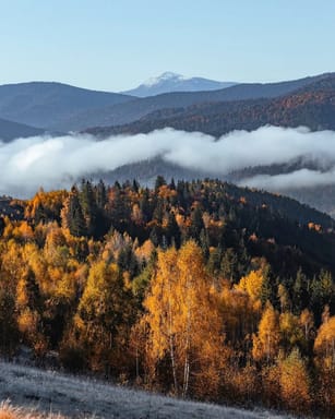 3 дні в Карпатах. Bukville+сніданки+СПА