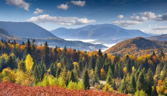 2 дні в Карпатах+сніданок 2 дні в Карпатах+сніданок
