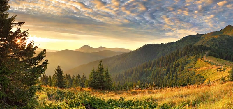 Вікенд в Закарпатті Вікенд в Закарпатті
