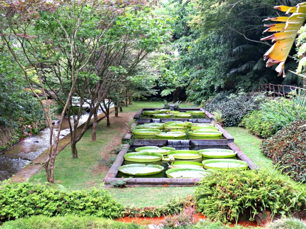 travel program image