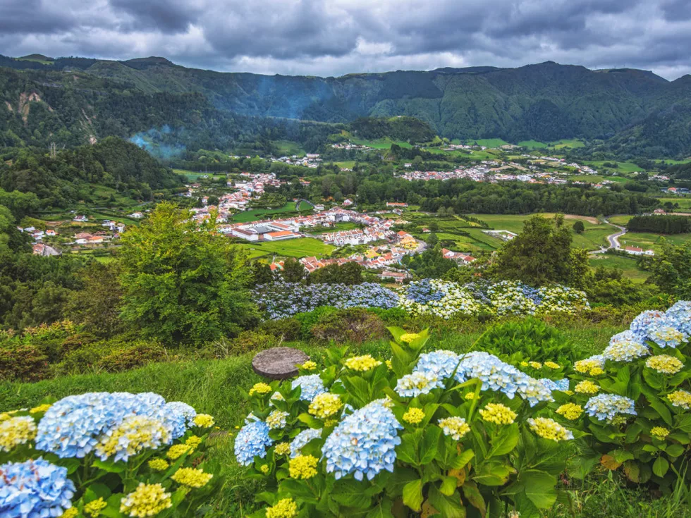 travel program image