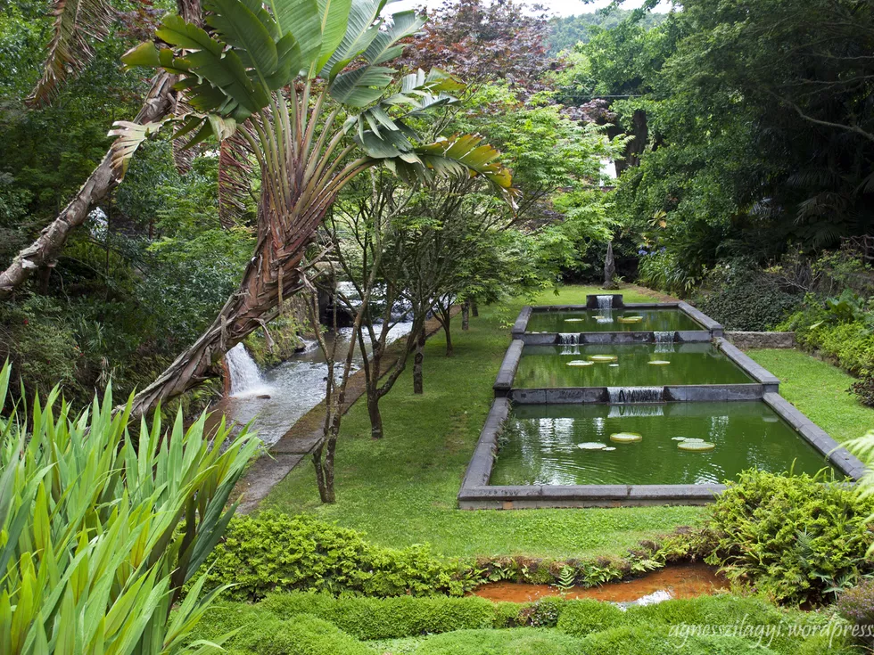 travel program image