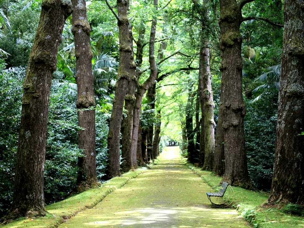 travel program image