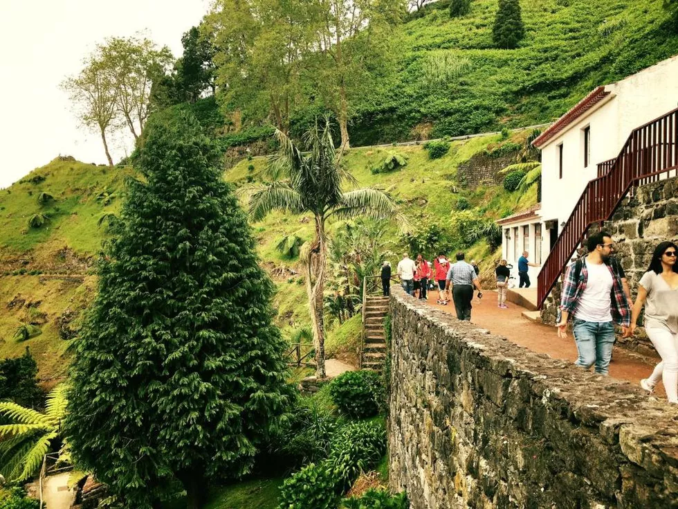 travel program image