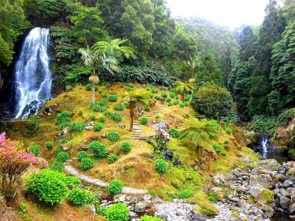 travel program image