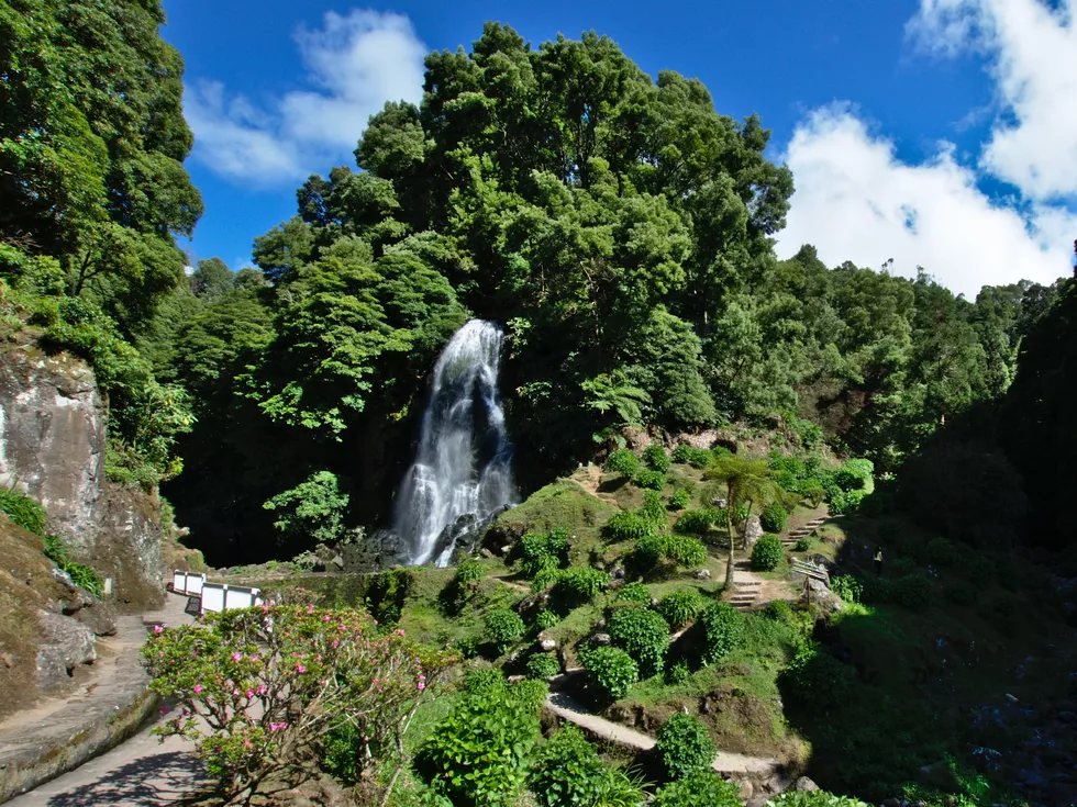 travel program image