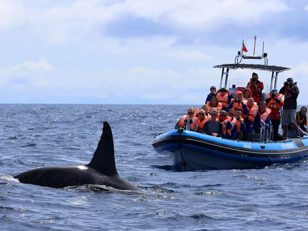 travel program image