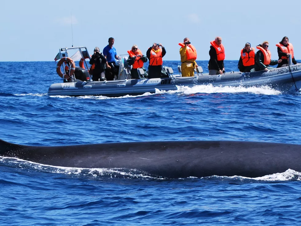 travel program image