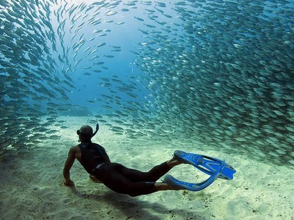 travel program image